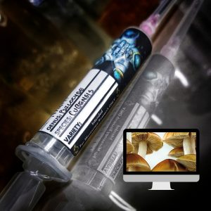 Microscopy Research Syringe- B+