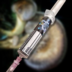 Liquid Culture- Black Abalone