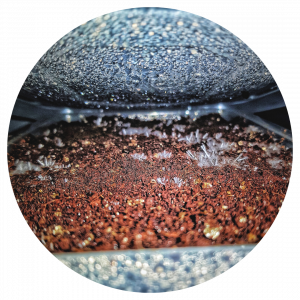 Bulk Substrates