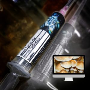 Microscopy Research Syringe- Burma