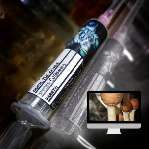 Microscopy Research Syringe- Costa Rican