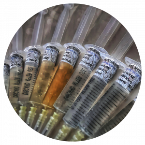 Research Craft Genetics