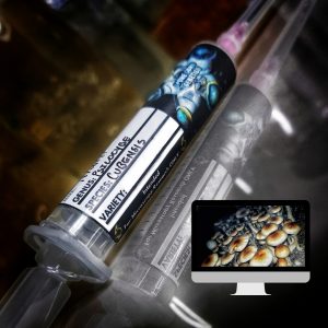 Microscopy Research Syringe- Golden Teacher