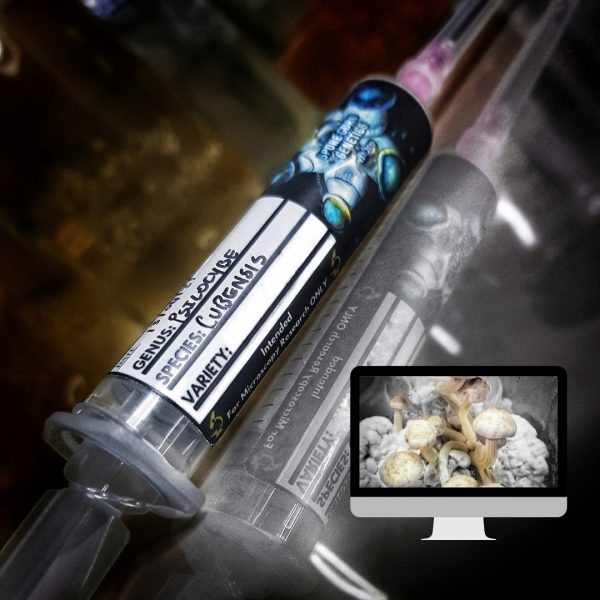 Microscopy Research Syringe- Leucistic A+