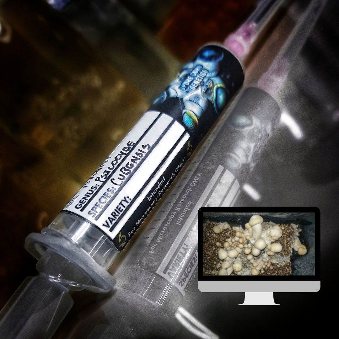 Guru Genetics