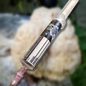 Liquid Culture- Lion's Mane