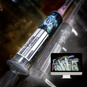 Microscopy Research Syringe- Mexican (Oaxaca)