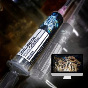 Microscopy Research Syringe- Orissa India