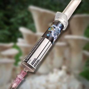 Liquid Culture- King Oyster