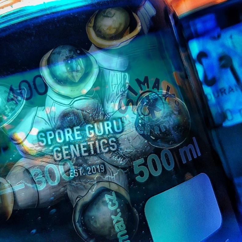 Guru Genetics