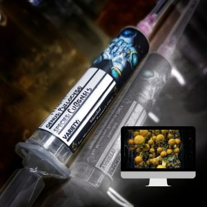 Microscopy Research Syringe- Thai Lipa Yai